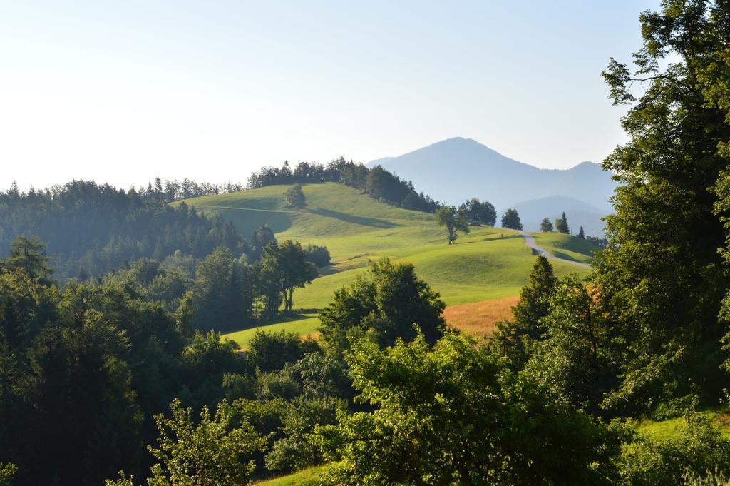 Apartmens And Rooms Sostar Cerkno Zewnętrze zdjęcie