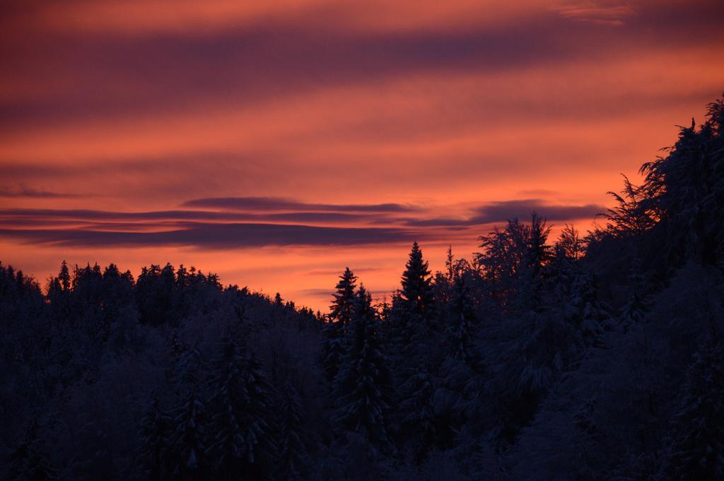 Apartmens And Rooms Sostar Cerkno Zewnętrze zdjęcie