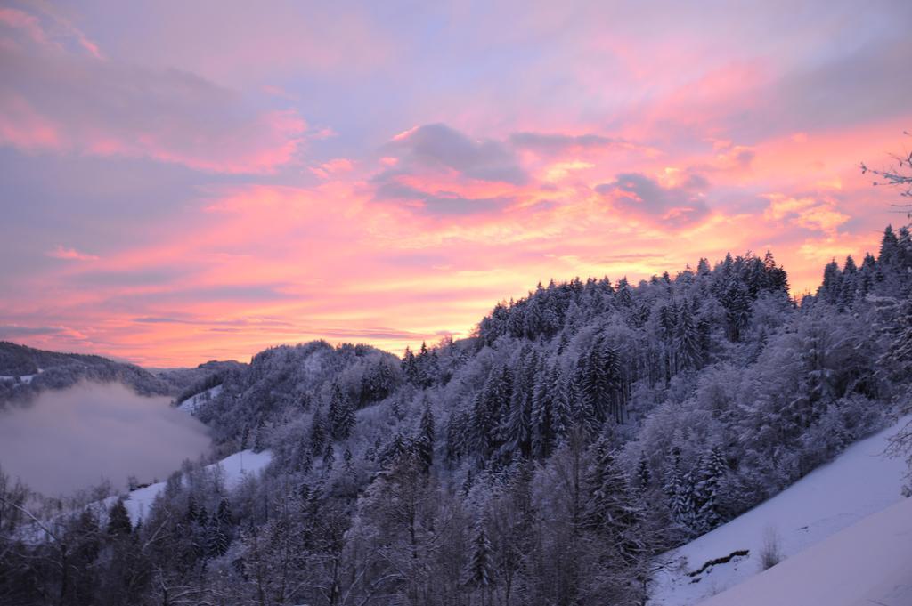 Apartmens And Rooms Sostar Cerkno Zewnętrze zdjęcie