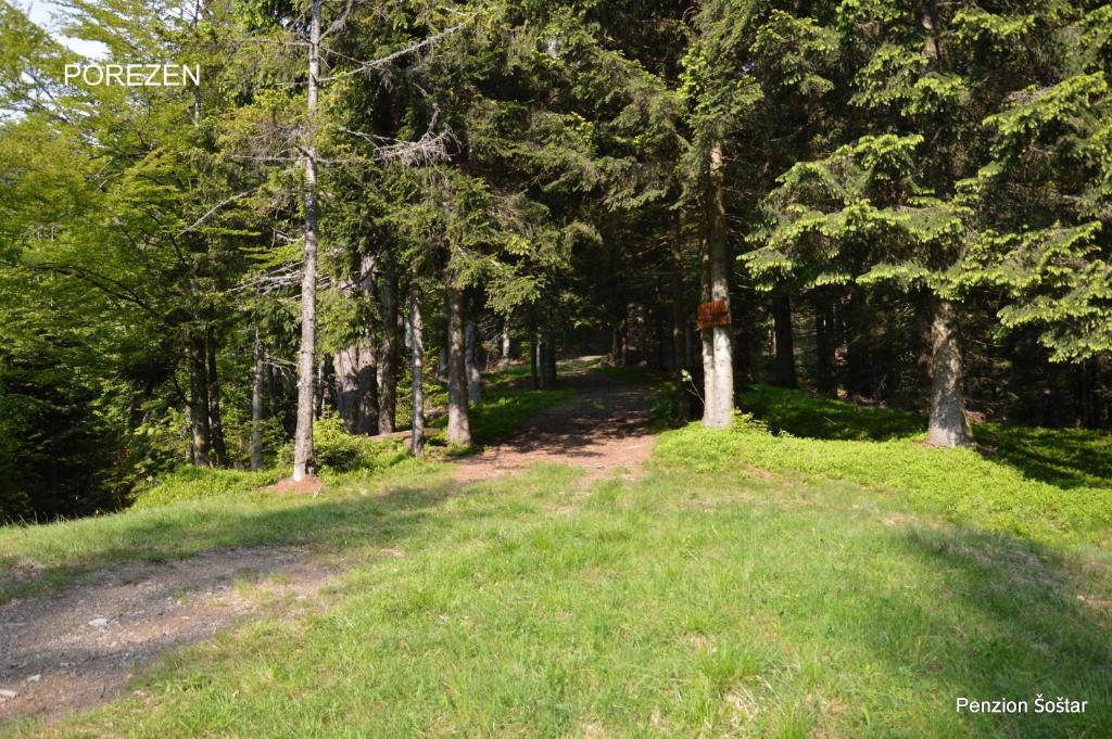 Apartmens And Rooms Sostar Cerkno Zewnętrze zdjęcie