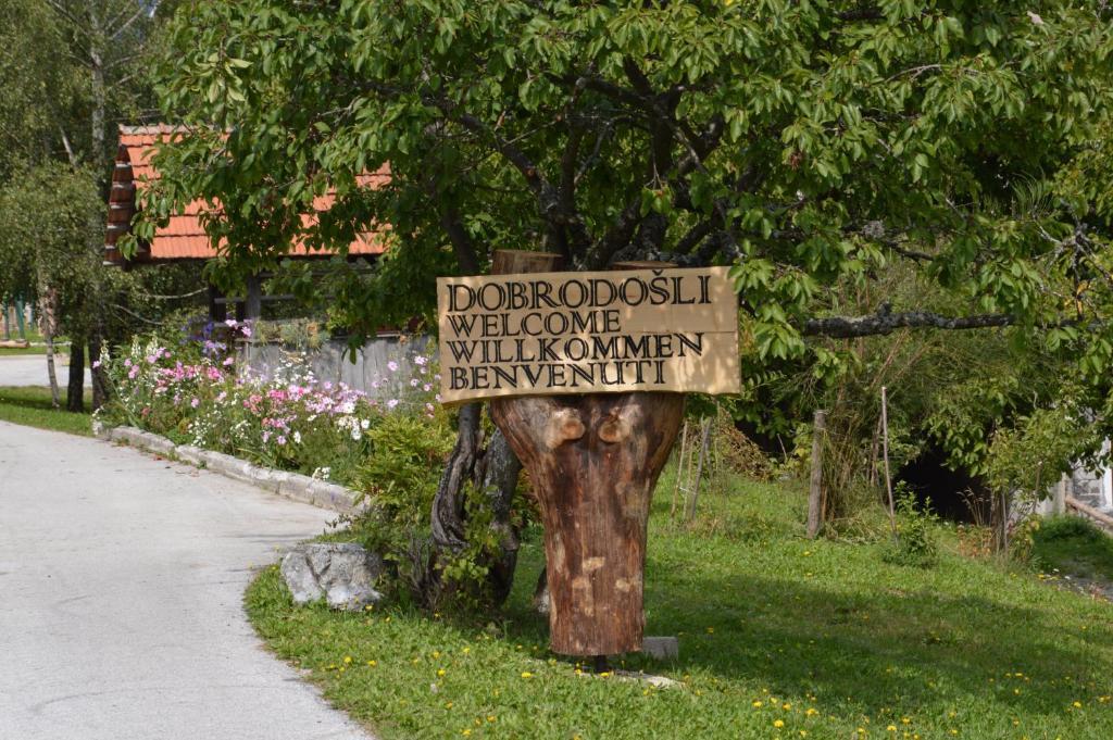 Apartmens And Rooms Sostar Cerkno Zewnętrze zdjęcie